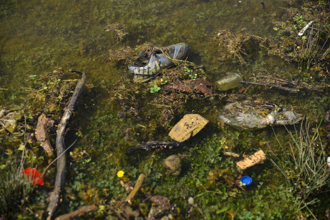 Demirtaş Barajı’nın kıyısı, piknikçilerin bıraktığı atıklarla çöplüğe döndü: Hayvanlar atıklardan zehirleniyor 4